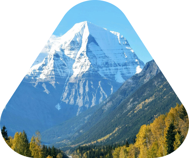 https://www.bcc-invest.kz/storage/app/uploads/public/68e/4c3/15e/68e4c315eb9ae608119931.png